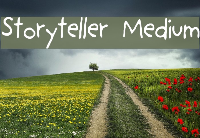Storyteller Medium Font examples