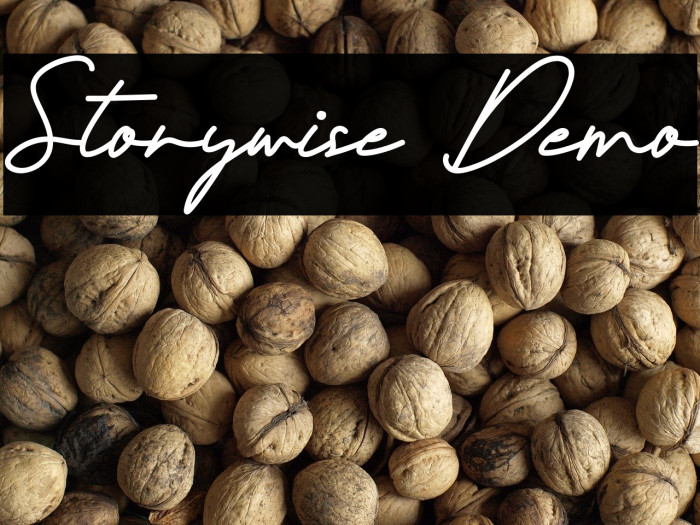 Storywise Demo Example 2