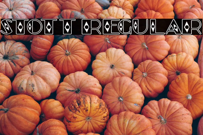 Stott Regular Example 1