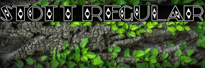 Stott Regular Example 2