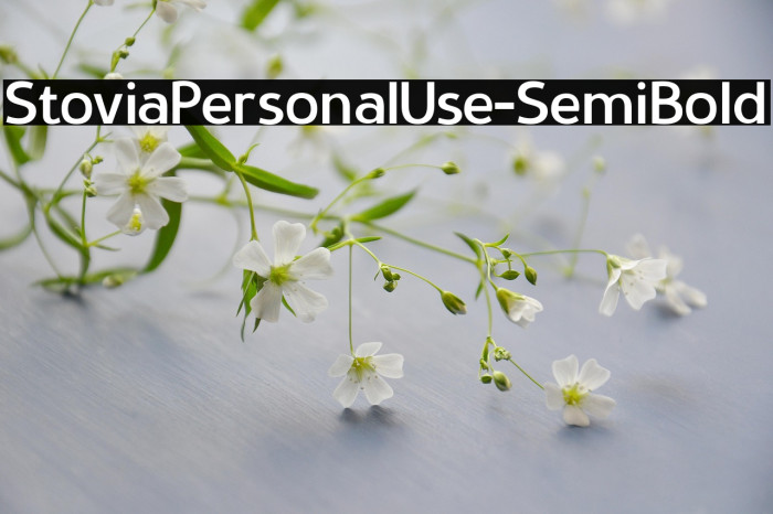 StoviaPersonalUse-SemiBold Example 2