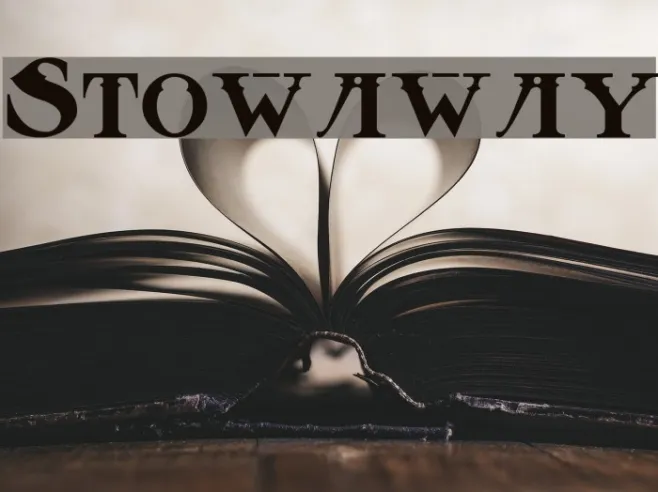 Stowaway Example 2