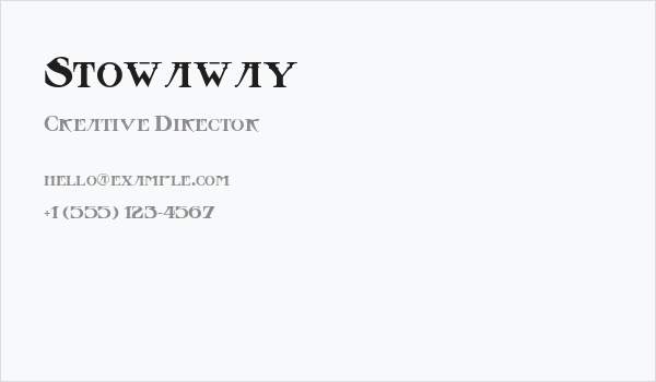 Stowaway Business Card