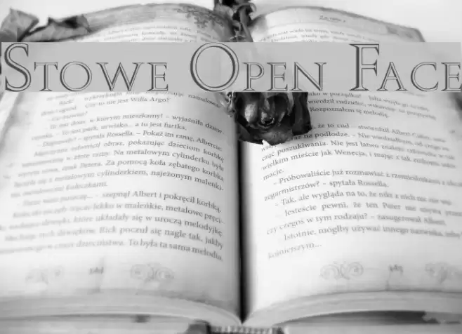 Stowe Open Face Font examples