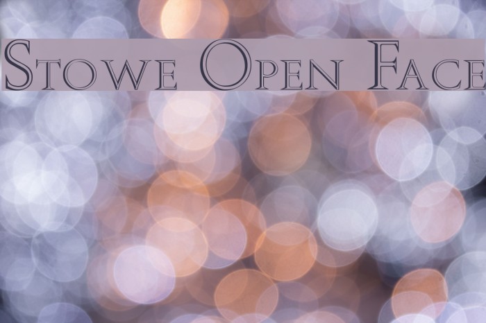 Stowe Open Face Example 2