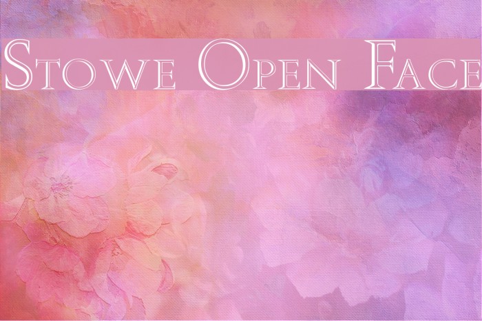 Stowe Open Face Example 3