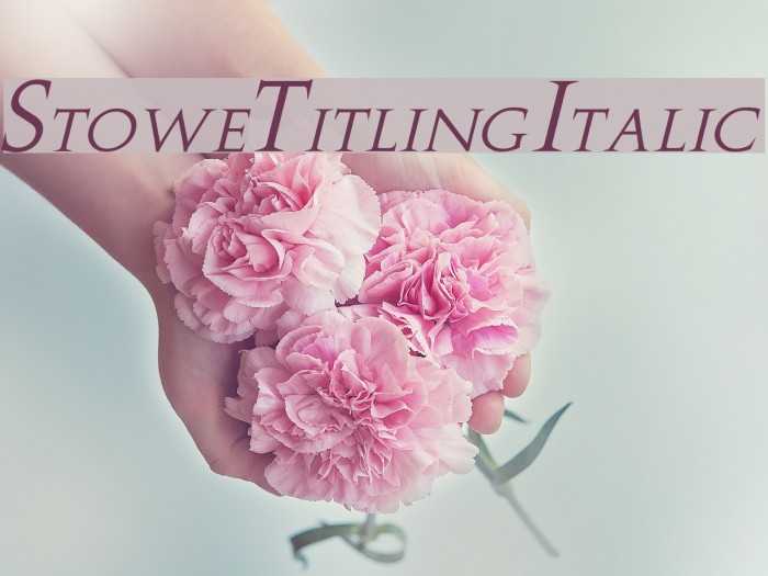 Stowe Titling Italic Example 3