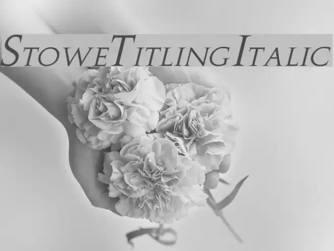 Stowe Titling Italic Font examples
