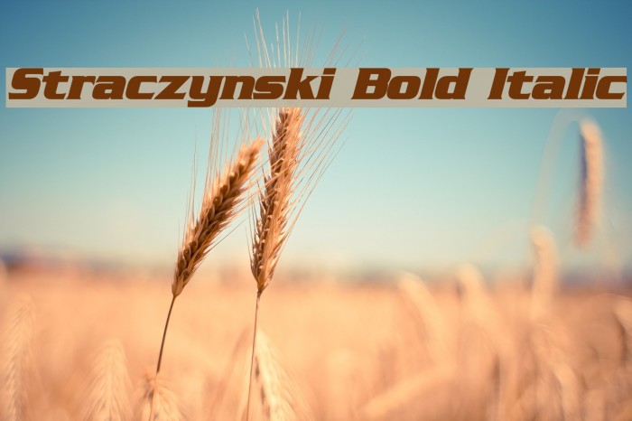 Straczynski Bold Italic Example 2