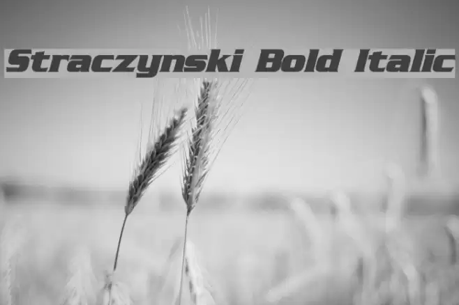 Straczynski Bold Italic Font examples