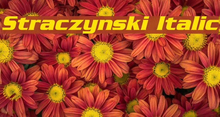 Straczynski Italic Font examples