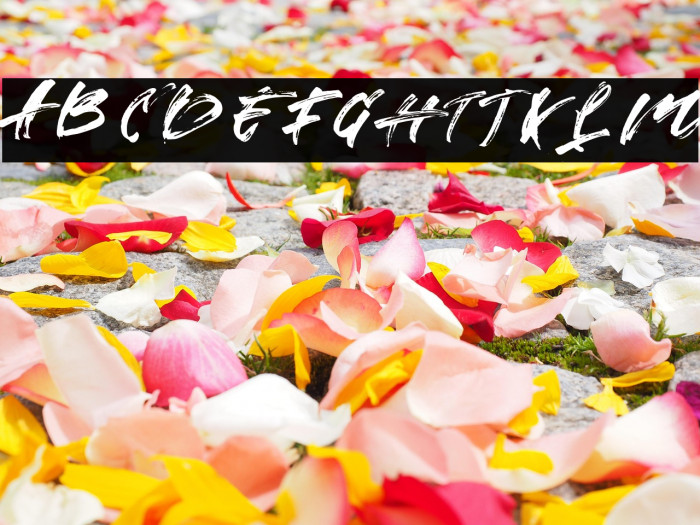 StradeEqremFREE Example 2