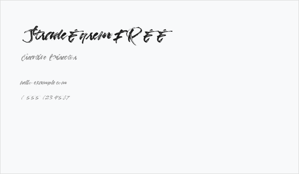 StradeEqremFREE Business Card