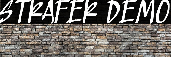 Strafer Demo Example 1