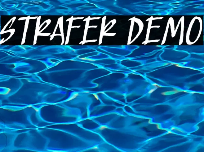 Strafer Demo Example 3