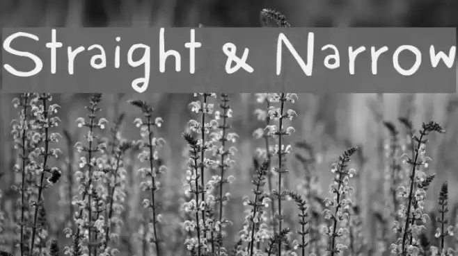 Straight & Narrow Font examples