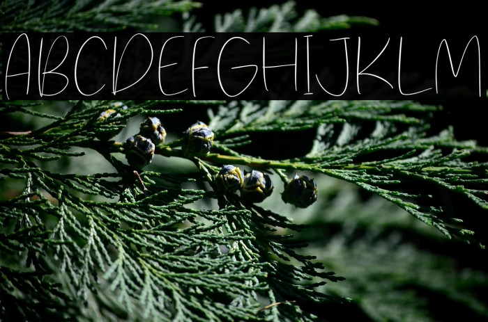 Straight Path Example 1