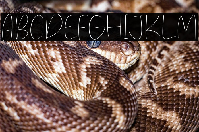 Straight Path Example 2