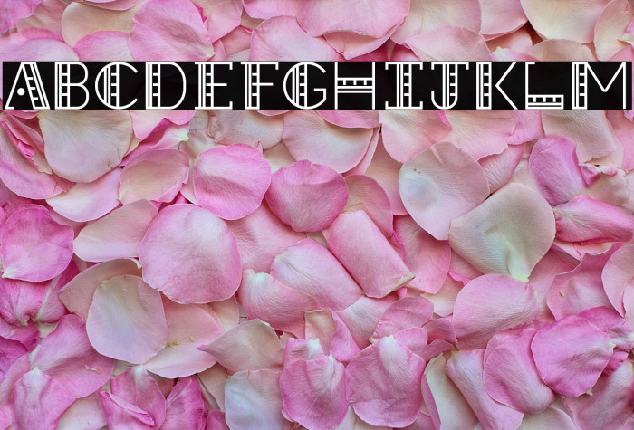 Straight Ruler~ Example 1