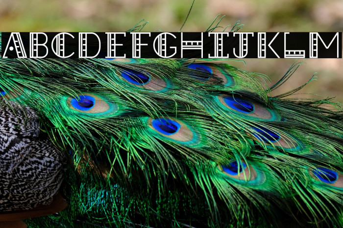 Straight Ruler~ Example 2