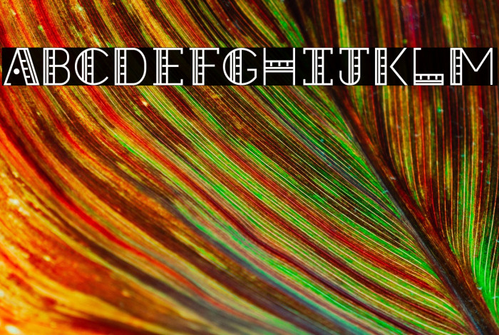 Straight Ruler~ Example 3