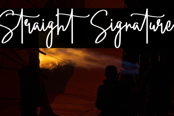 Straight Signature Example 2