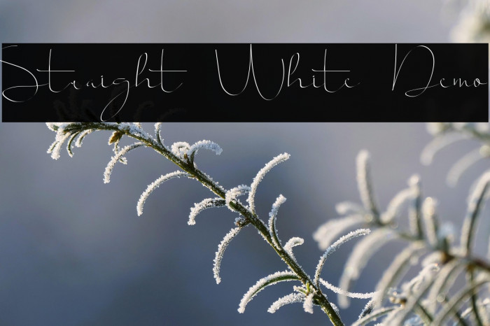 Straight White Demo Example 3