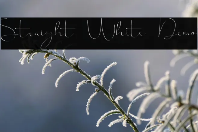 Straight White Demo Example 3