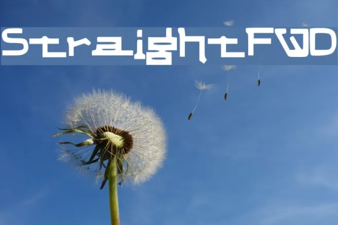StraightFWD Example 1