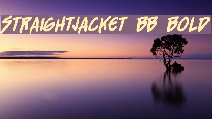 StraightJacket BB Bold Font examples