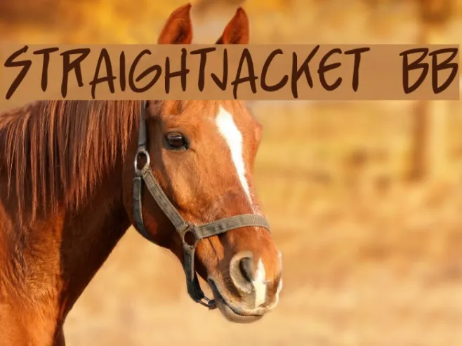StraightJacket BB Example 3