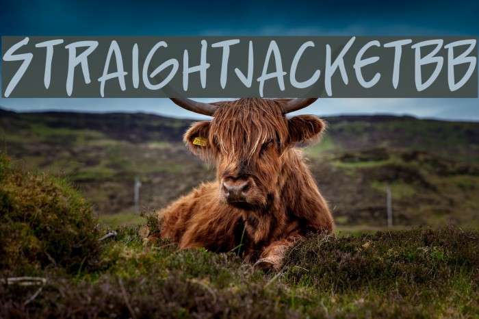 StraightJacketBB لخطوط تنزيل examples
