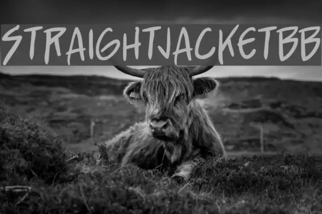 StraightJacketBB Font examples