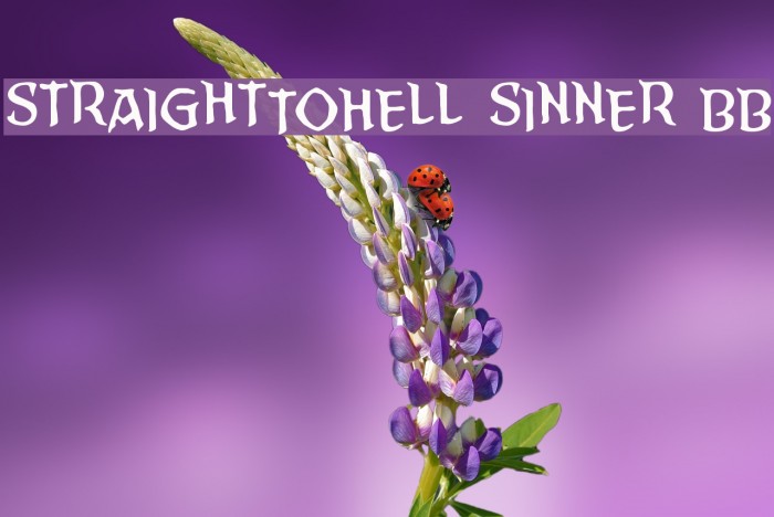 StraightToHell Sinner BB Font examples
