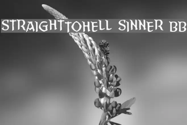 StraightToHell Sinner BB フォント examples