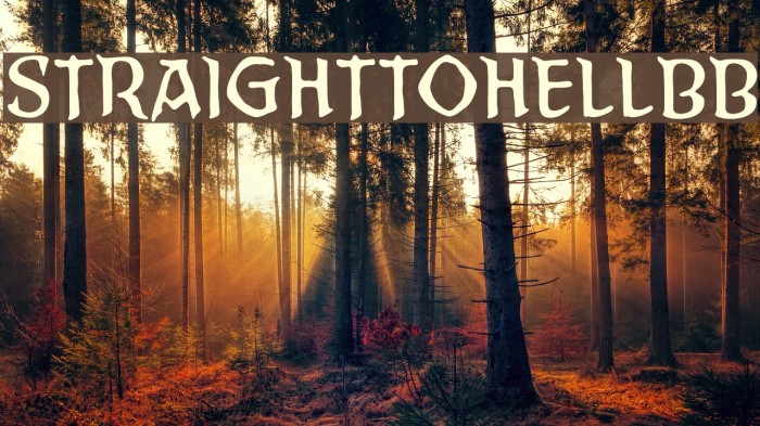 StraightToHellBB Шрифта examples