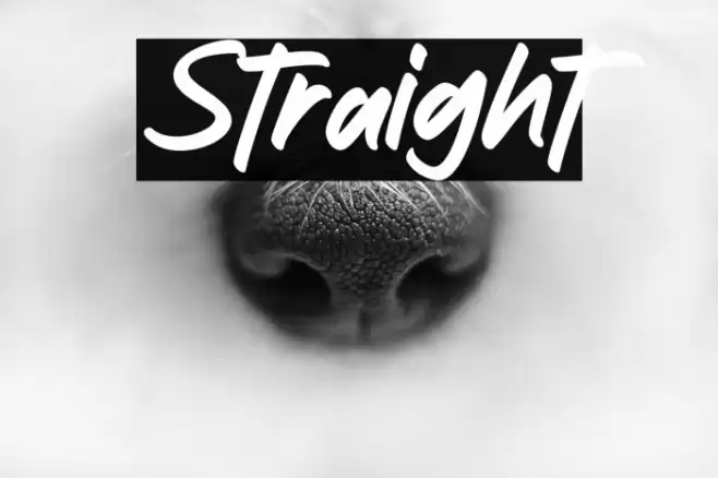 Straight Font examples