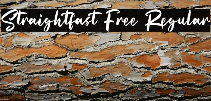 Straightfast Free Regular Example 1