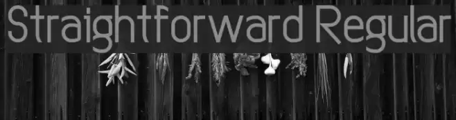 Straightforward Regular Font examples