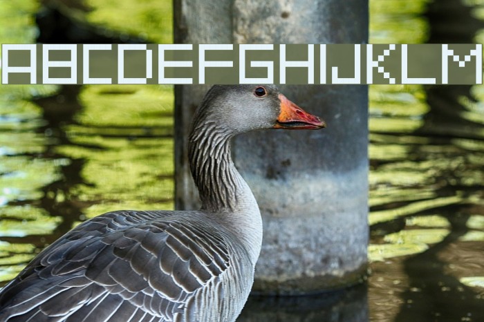 Straightline Example 2