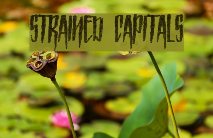 Strained Capitals Font examples