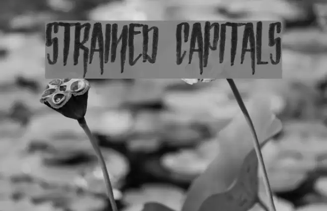 Strained Capitals フォント examples