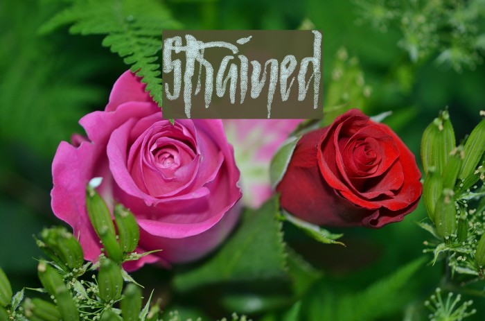 Strained Font examples