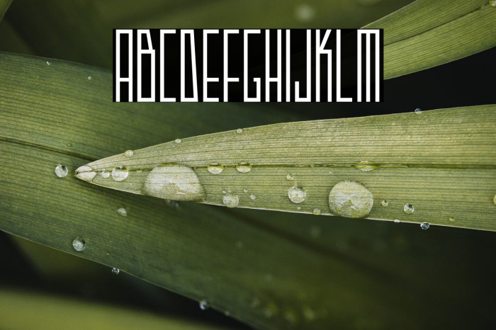 Strak Demo Example 1