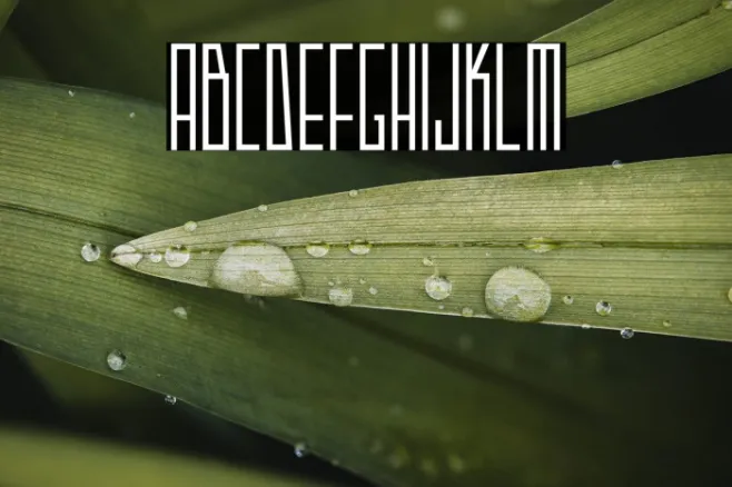 Strak Demo Example 1