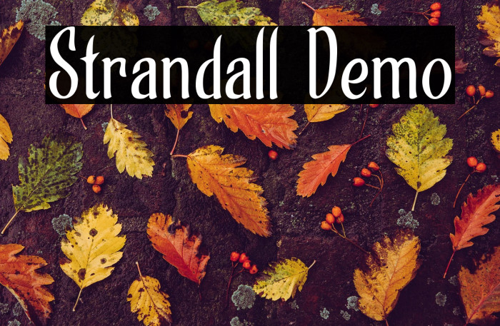 Strandall Demo Example 1