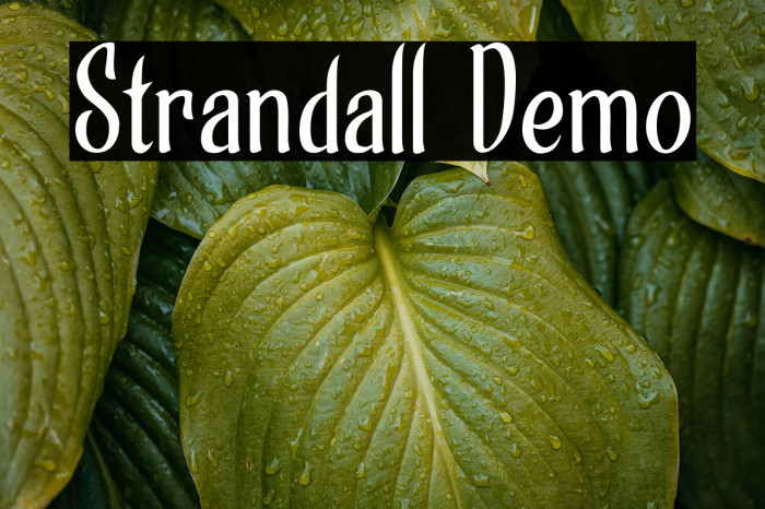 Strandall Demo Example 3