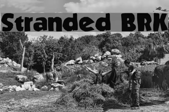 Stranded BRK Font examples