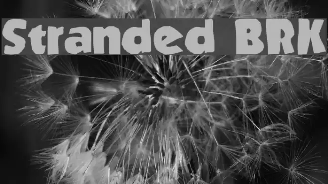 Stranded BRK Font examples