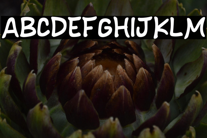 Strange Neighbor Polices examples